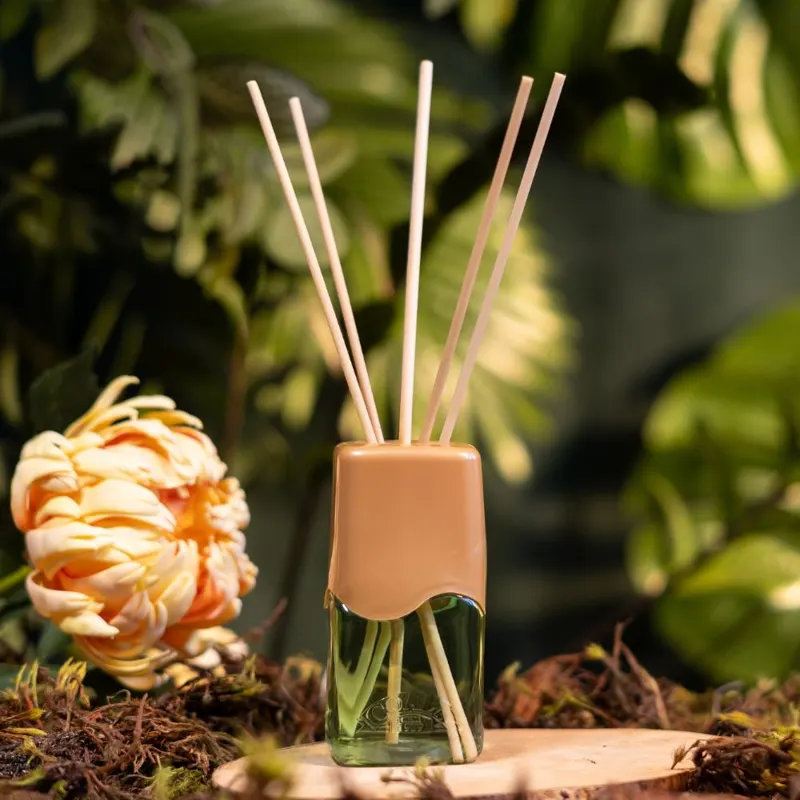 Difusor de aromas Coala com varetas